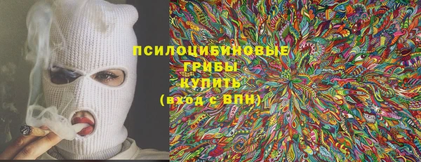 не бодяженный Арсеньев