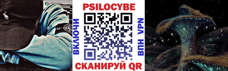 Псилоцибиновые грибы прущие грибы Менделеевск